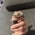 Crested Gecko 1 thumbnail