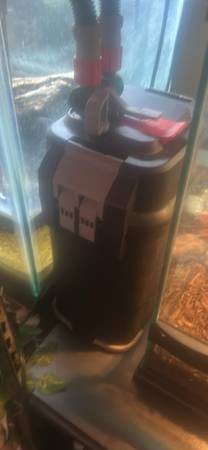 Fluval 307 1