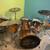 6 Piece Amber Tama Drumset (1990s) 2 thumbnail