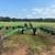 Hay rake 3 thumbnail