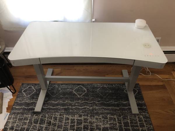 Adjustable Standing Desk 1