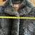 Women’s Full-Length Raccoon Look Faux Fur Coat | Panache Lykaf 6 thumbnail