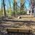 Rivermont Area - Modern 2-Bed/1.5-Bath Unit in Lynchburg, VA - $1055 13 thumbnail