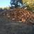 FIREWOOD 1 thumbnail