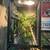 female Veiled chameleon 2 thumbnail