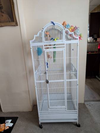Lg Bird Cage 1