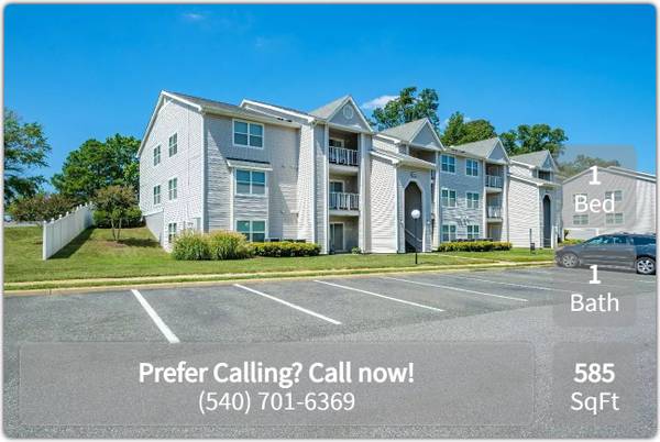 Inspiring surroundings, exquisite homes: Dive into our 1 BR. 1