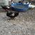 Ducks 4 thumbnail