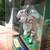 Starting Lineup Gridiron Greats Terrell Davis Action Figure 1999-New 3 thumbnail