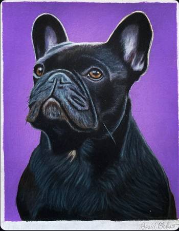 Original Painting of a French Bulldog 1