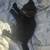 Kittens 2 thumbnail
