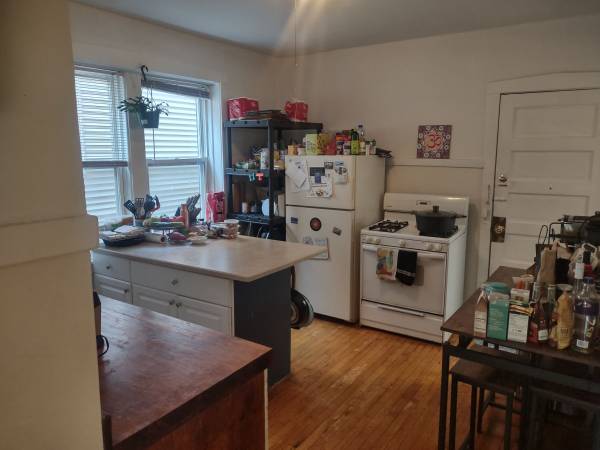$1,450 / 2br - 1200ft2 - Beautiful, spacious light and airy two-bedroom apartment with large living room, (Chicago)63781607469571121