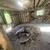 Dismantled, tagged/blueprinted 1880 Log Cabin 18ft x 19ft 5 thumbnail