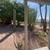 Beautifully decorated! Private home located in our little “western tow 4 thumbnail