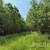 40 Acres Beautifully wooded parcel MLS 50179244 8 thumbnail