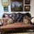 Exquisite Paul Robert sofa. Always located in a home of non-smokers an 1 thumbnail