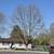 Supreme tree serves. tree removal and trimming free estimates 11 thumbnail