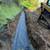 Septic System Install 12 thumbnail