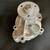 Jaguar/Land Rover New Water Pump 6 thumbnail