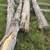 Ten Foot Cedar Post 2 thumbnail