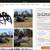 Skid Steer Quick Attach 48” Grapple Forks 6 thumbnail