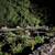 Fishkill,Private two bedroom in the woods 8 thumbnail