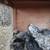 Young chickens ready for new home!!! 5 thumbnail