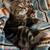 Tabby kittens 2 thumbnail