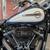2019 HARLEY DAVIDSON SOFTAIL HERITAGE CLASSIC 114-FLHCS 7 thumbnail