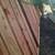 Maintenance and Landscaping services 9 thumbnail