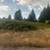 Land clearing 3 thumbnail