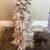 Rustic birch tree 3 thumbnail