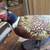 Ringneck Pheasant mount 1 thumbnail