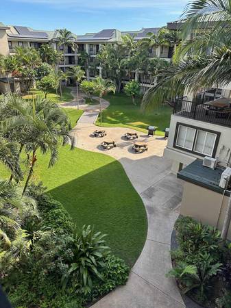 Courtyard, Efficient Appliances, Wheelchair Access 1