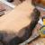 Live edge wood 4 thumbnail