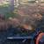 Fall Yard Cleanup-Pine Needles, Leaves and Branches 2 thumbnail