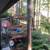SHARED HOME ACCOMMODATION - TOP of  NORTH VAN 8 thumbnail
