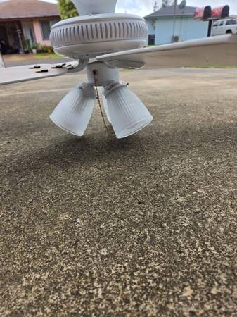 Ceiling fan 1