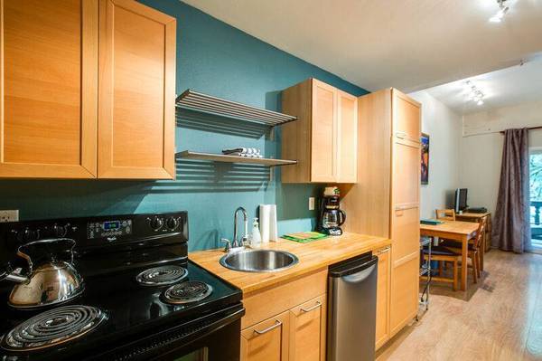 $700 / 1br - 310ft2 - Mt Baker Ski base, Glacier Condo (Glacier, WA)63935190191363123