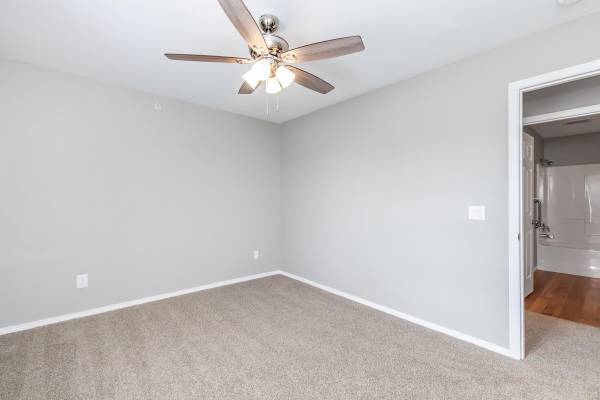 Pet Friendly, 3 Bed, Located in Springfield 1