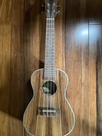 Ukulele 1