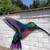 Graffiti Murals for all occasions 5 thumbnail