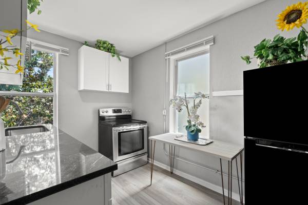 $1,995 / 1br - St Pete Apartment (St Pete)63980540438147124