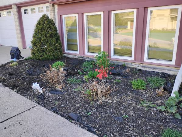 ***SPRING CLEANUPS***EXTREME YARD CLEAN UPS*** NEW LIFE LANDSCAPING SERVICES LLC 1
