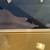 1980  Point Lobo by Jerry Schurr poster / print A330 7 thumbnail