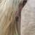 Cremelo dappled Peruvian paso Stallion 4 thumbnail