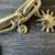 LOFT Seaside Charm Chain Link Stretch Bracelet - New 4 thumbnail