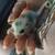 Sugar Gliders 2 thumbnail