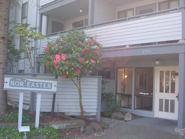 Fantastic 1bd/1bth Apartment @ The Nor'Easter 1