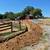 Excavation, Land Clearing, Grading 5 thumbnail